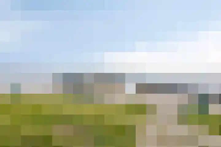 Onder de Zeedijk 8 Poortvliet thumbnail 66