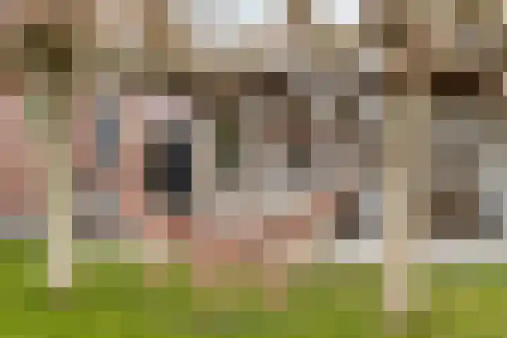 Onder de Zeedijk 8 Poortvliet thumbnail 7
