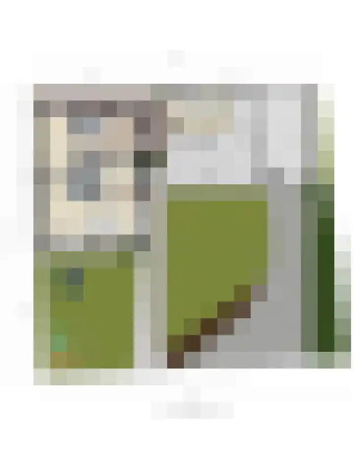 Onder de Zeedijk 8 Poortvliet thumbnail 70