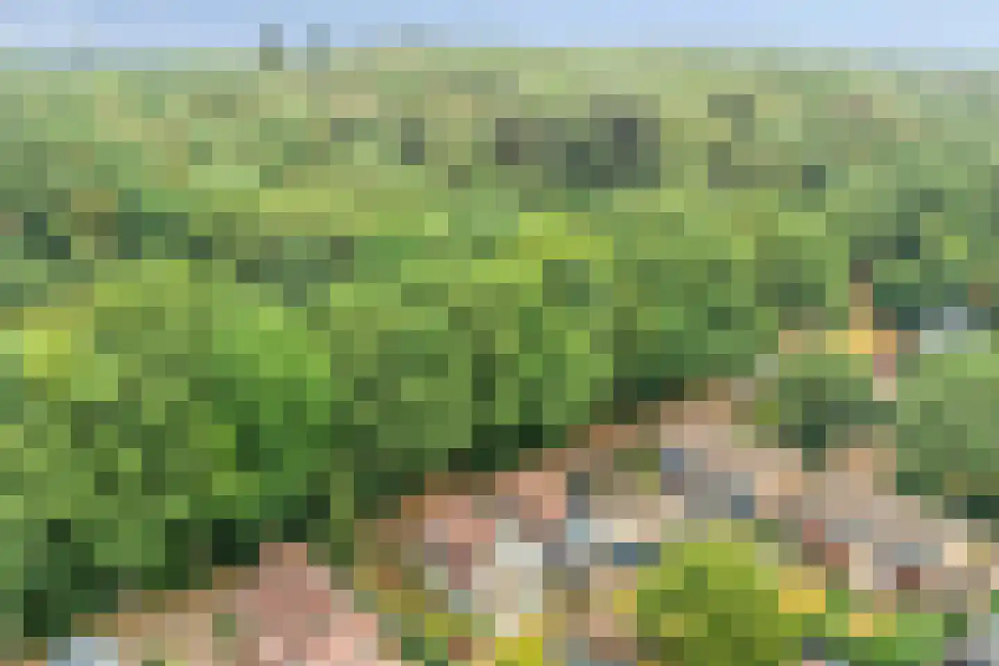 Onder Langs 5 Lochem thumbnail 10