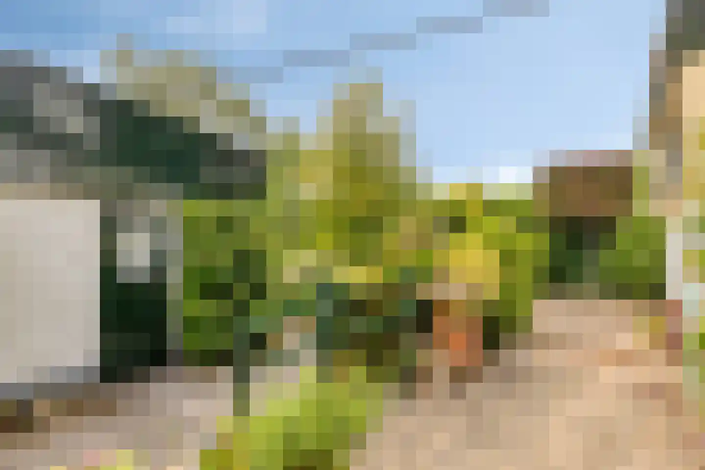 Onder Langs 5 Lochem thumbnail 11