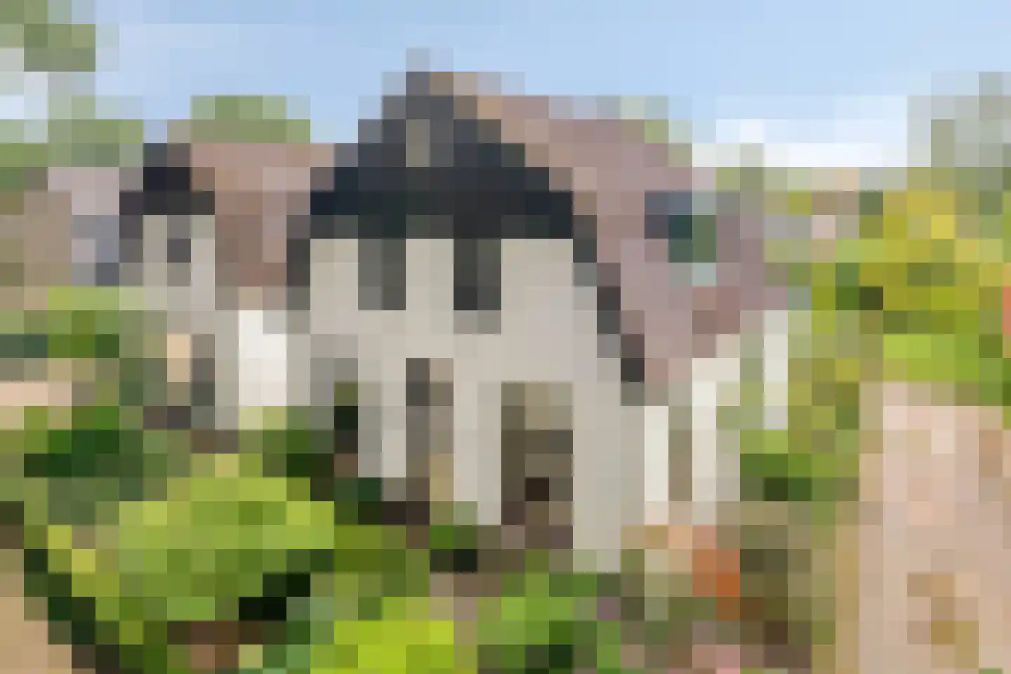 Onder Langs 5 Lochem thumbnail 13
