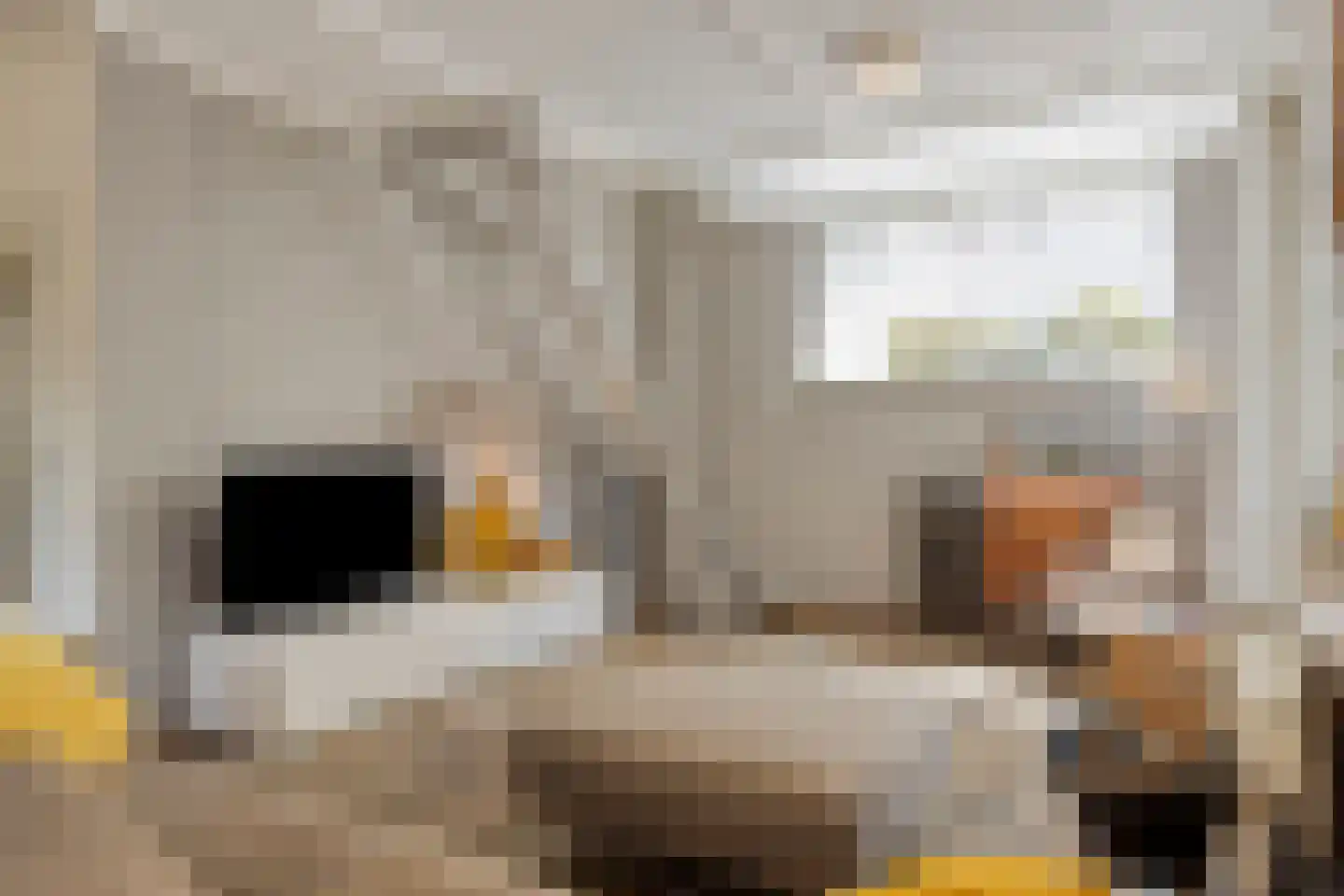 Onder Langs 5 Lochem thumbnail 17