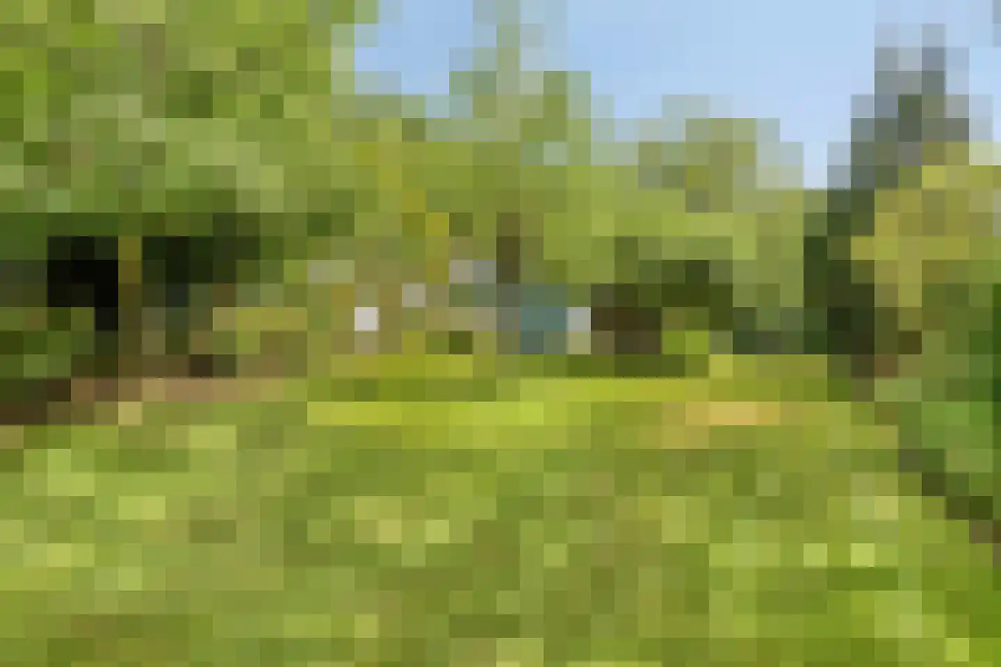 Onder Langs 5 Lochem foto 3