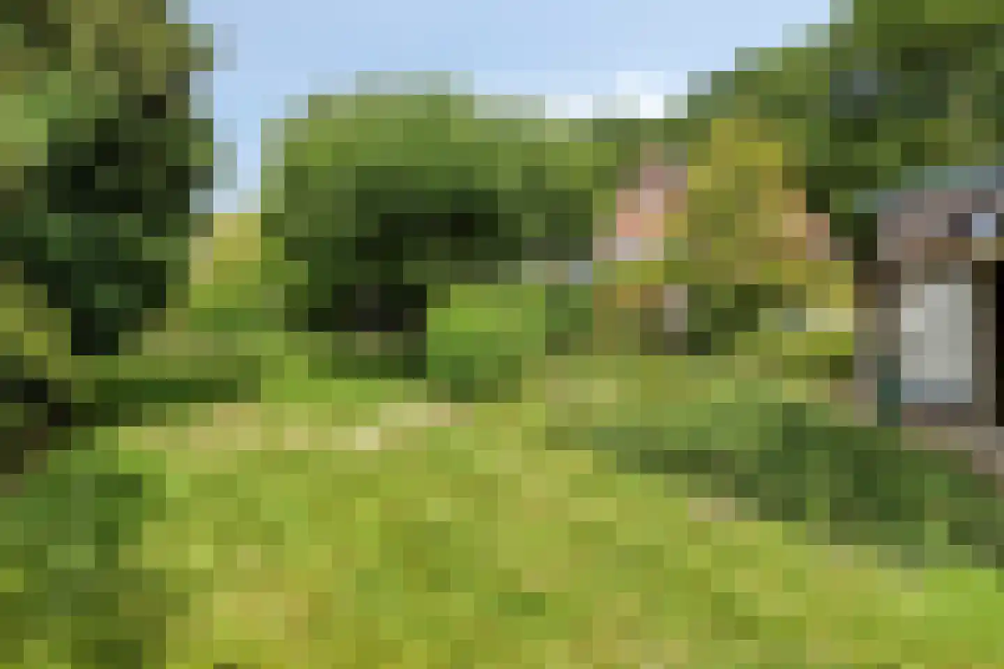 Onder Langs 5 Lochem thumbnail 34