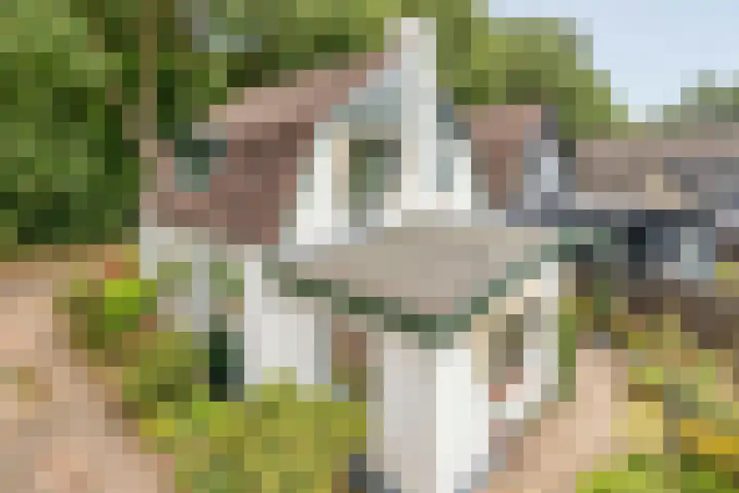 Onder Langs 5 Lochem thumbnail 35