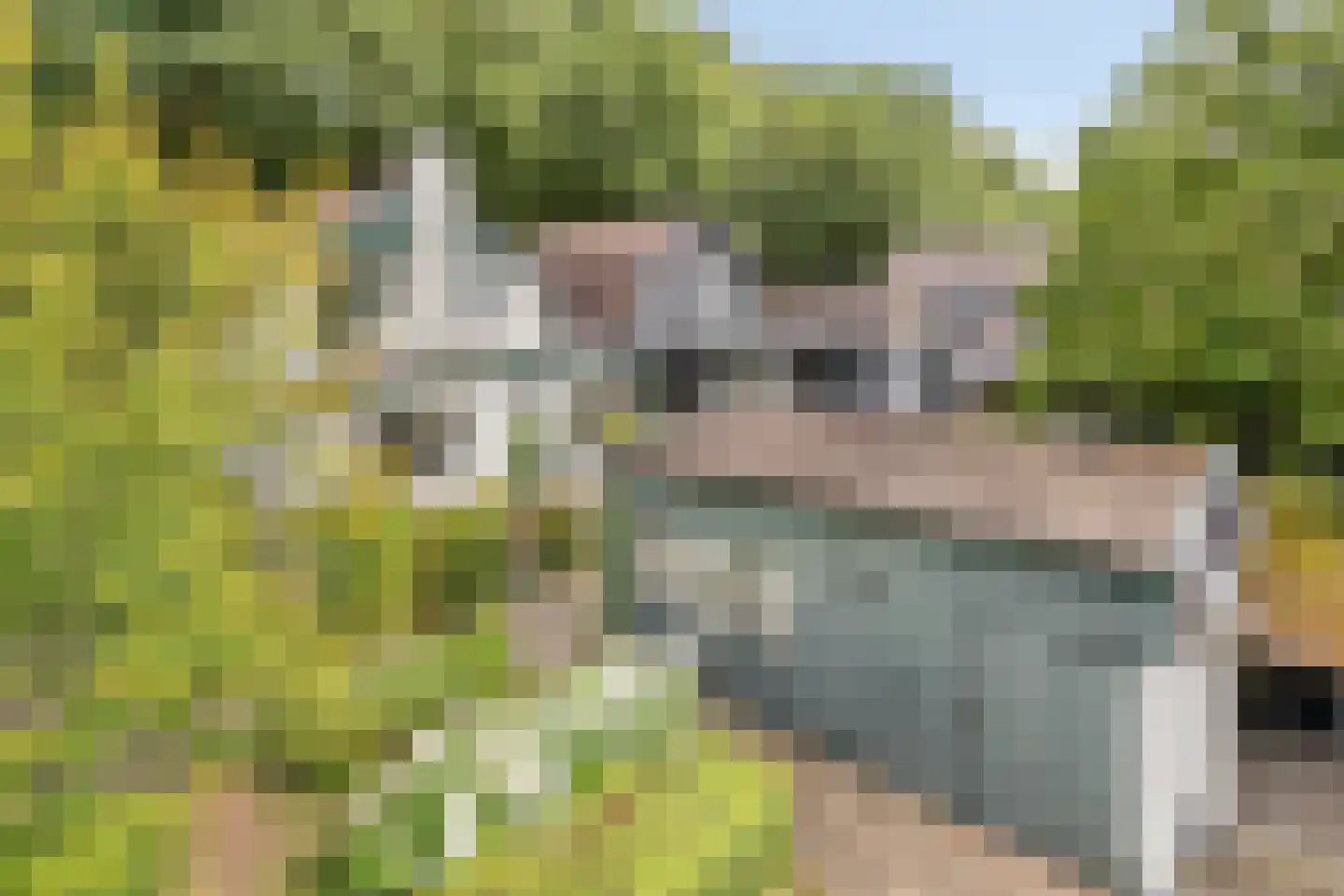 Onder Langs 5 Lochem thumbnail 36