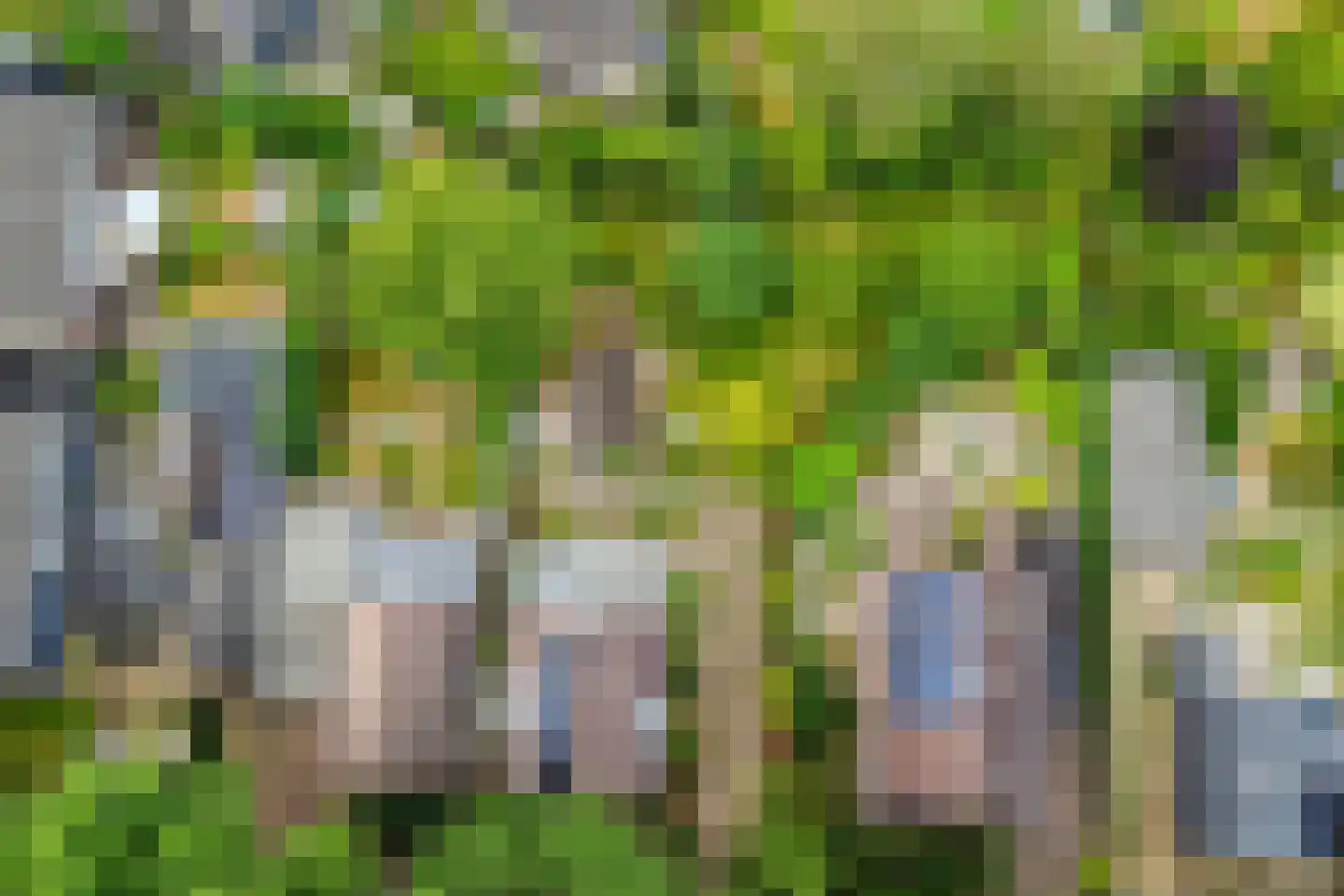Onder Langs 5 Lochem thumbnail 37