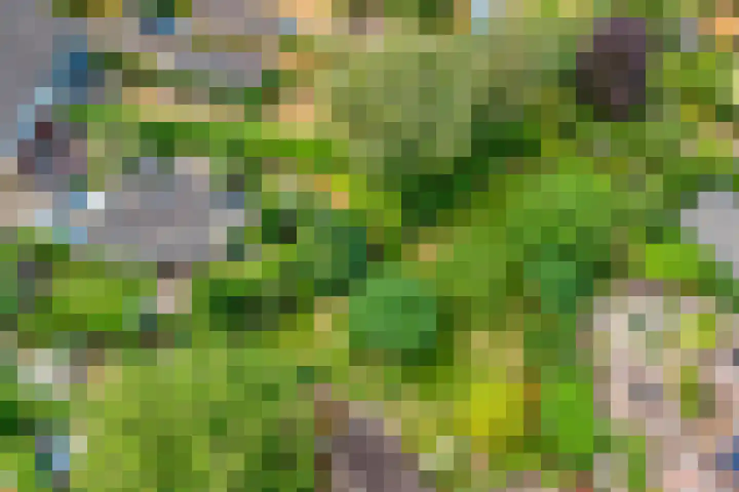 Onder Langs 5 Lochem thumbnail 38