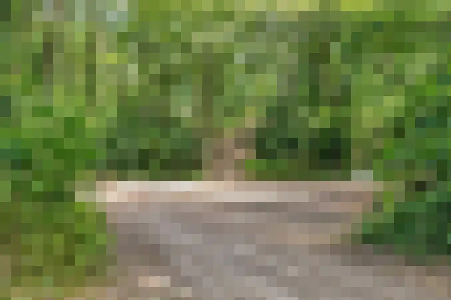 Onder Langs 5 Lochem thumbnail 39