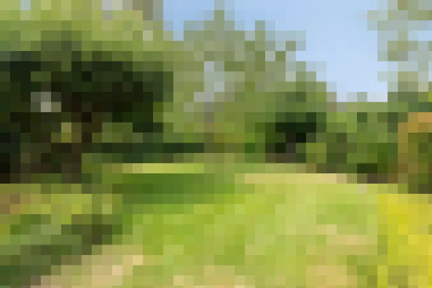 Onder Langs 5 Lochem thumbnail 8