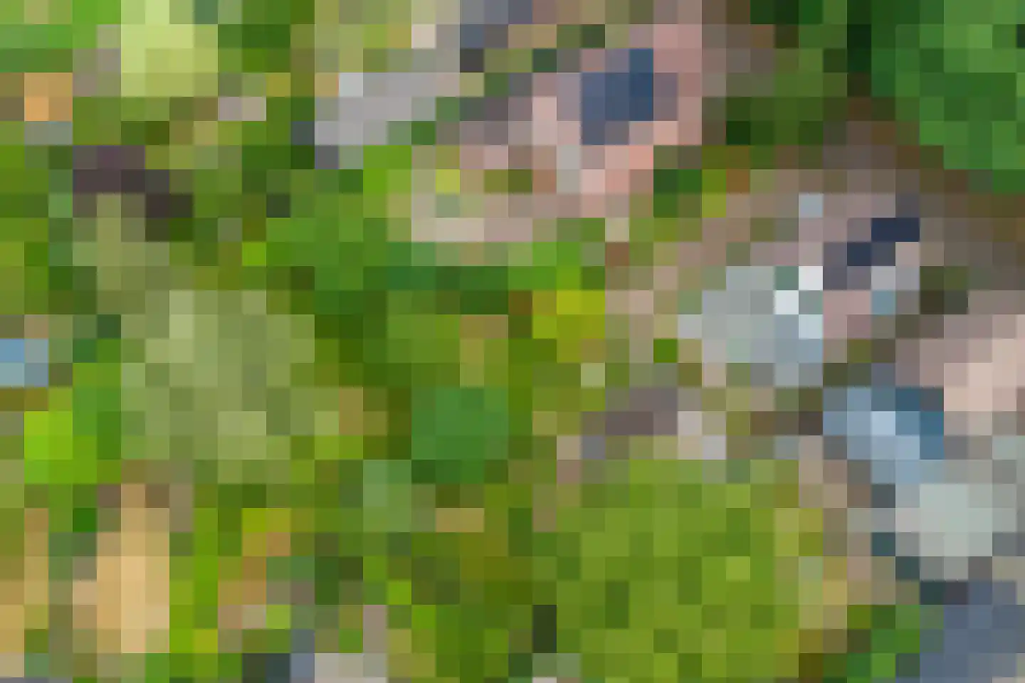 Onder Langs 5 Lochem thumbnail 9