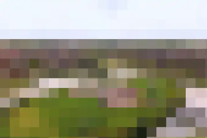 Onder Zeil 27 Enkhuizen thumbnail 4