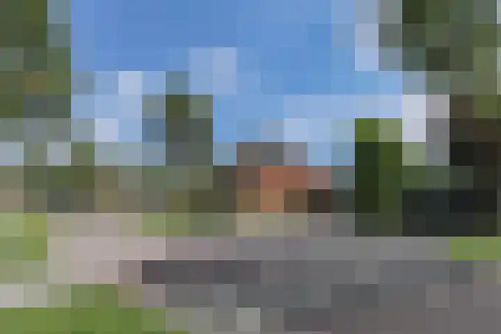 Onder Zeil 27 Enkhuizen thumbnail 5