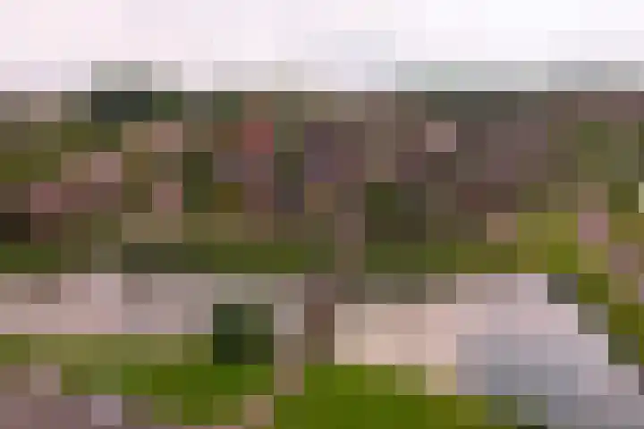 Onder Zeil 27 Enkhuizen thumbnail 51