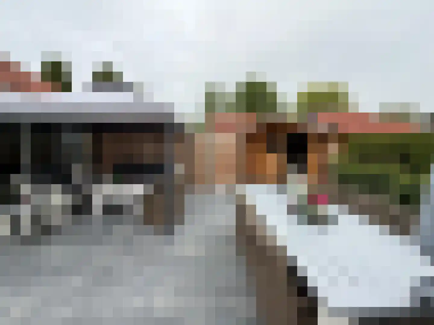 Onderdemolen 79 Stellendam thumbnail 15