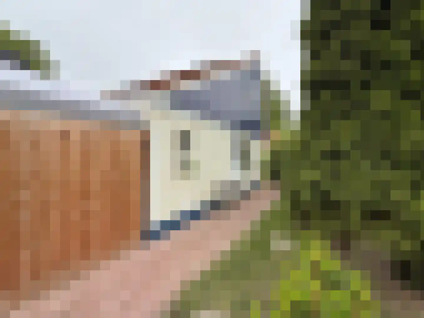 Onderdemolen 79 Stellendam thumbnail 23