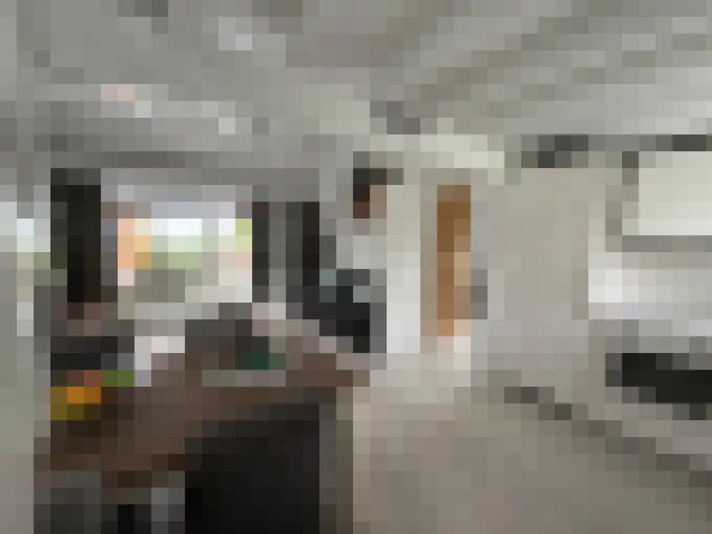 Onderdemolen 79 Stellendam thumbnail 6