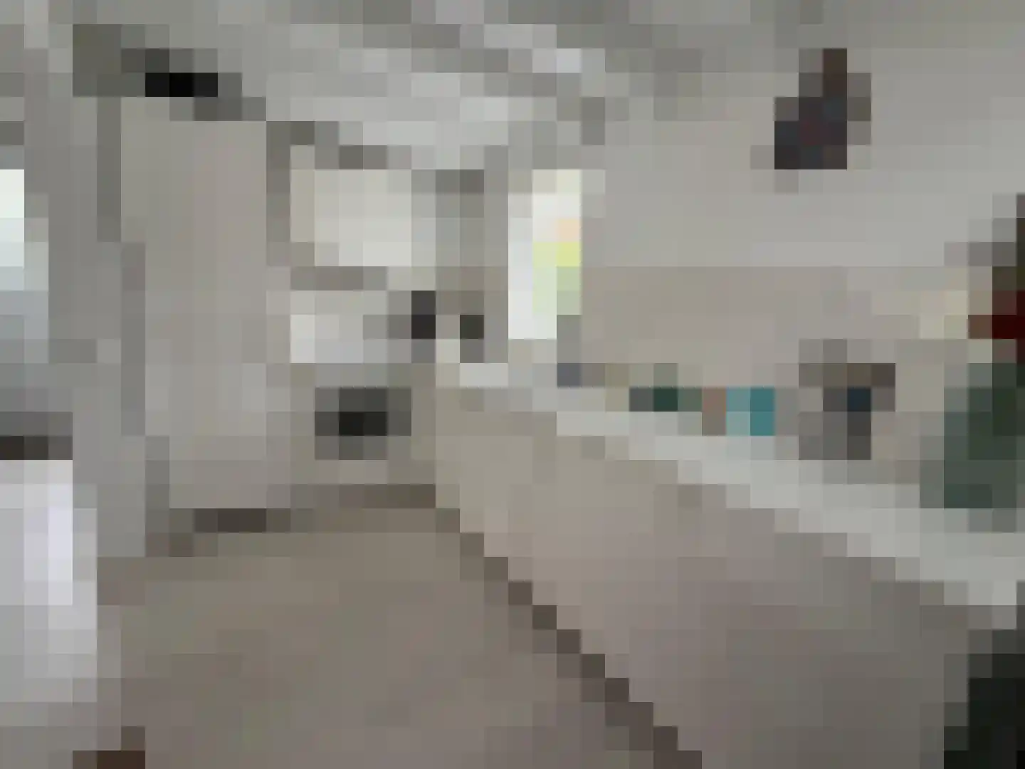 Onderdemolen 79 Stellendam thumbnail 7