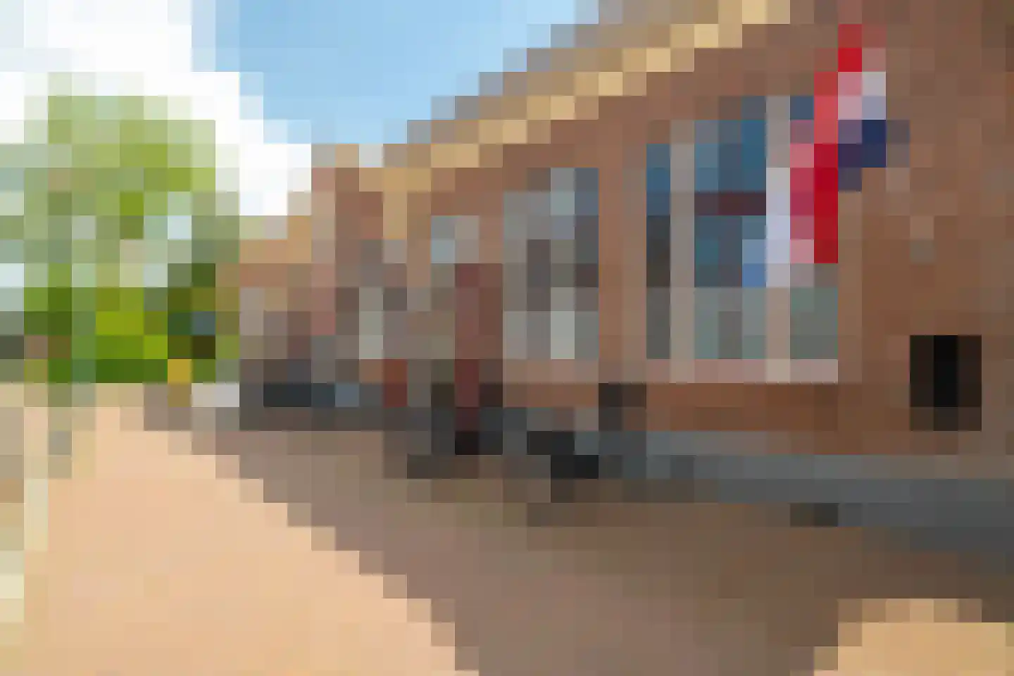 Onderdendamsterweg 2 Warffum thumbnail 107