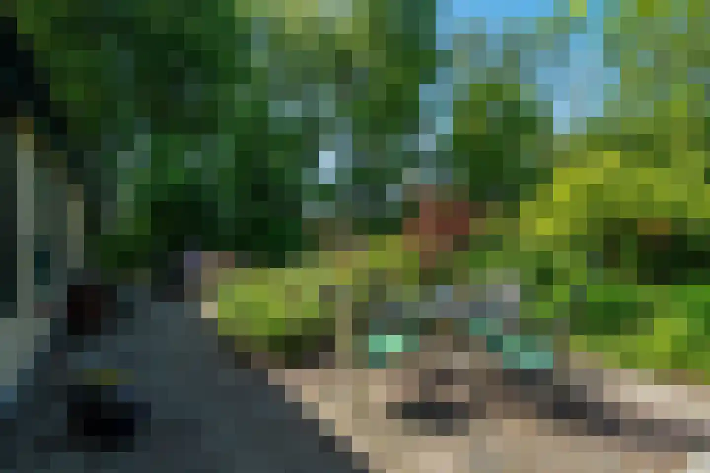 Onderdendamsterweg 2 Warffum thumbnail 59