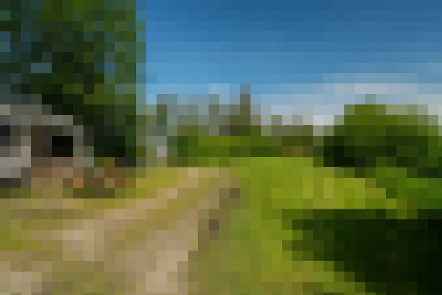 Onderdendamsterweg 2 Warffum thumbnail 65