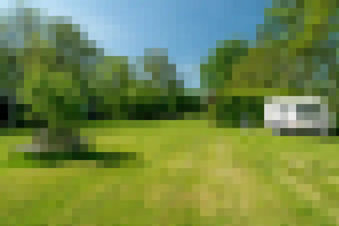 Onderdendamsterweg 2 Warffum thumbnail 70