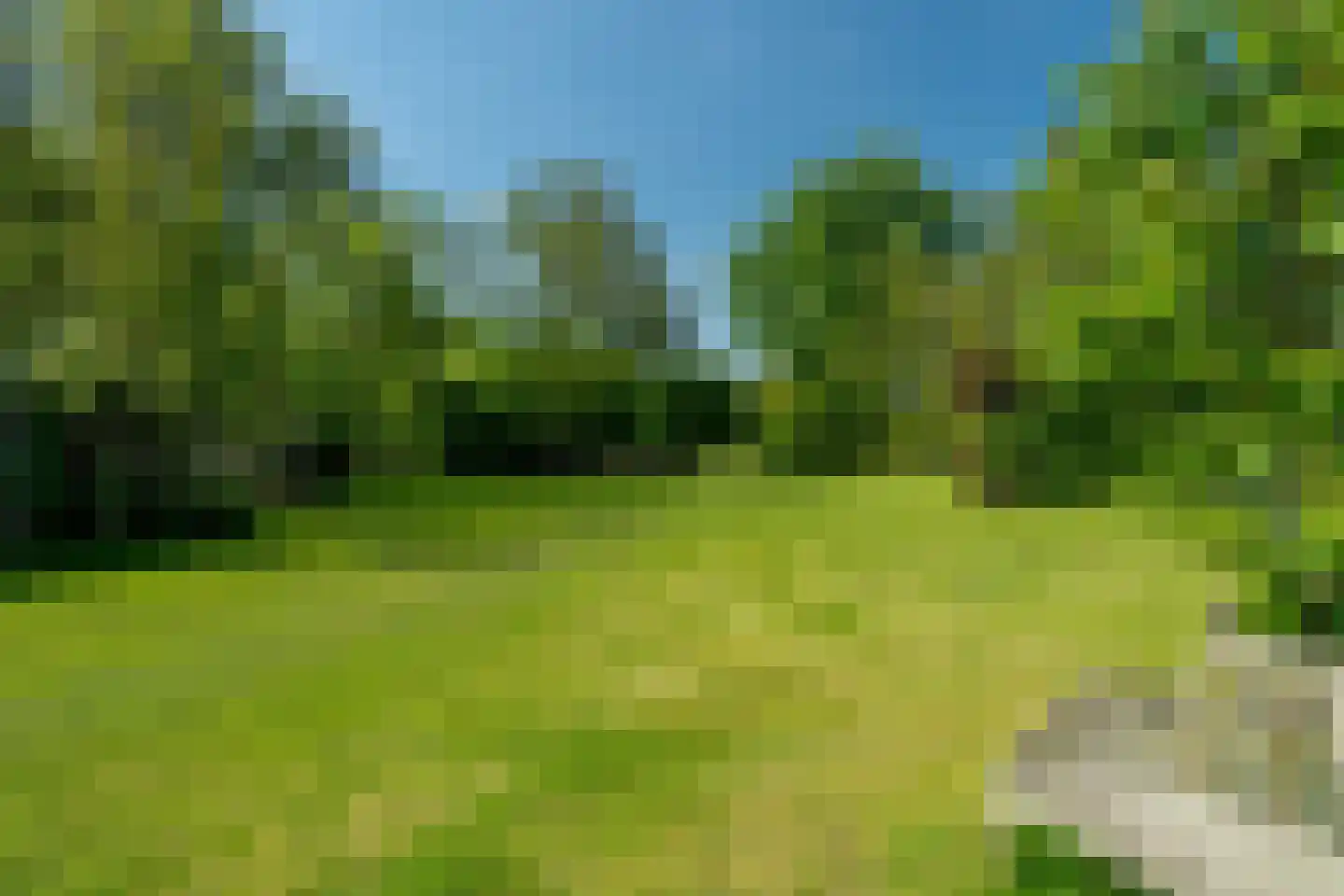Onderdendamsterweg 2 Warffum thumbnail 71