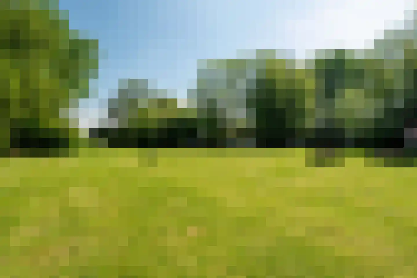 Onderdendamsterweg 2 Warffum thumbnail 73
