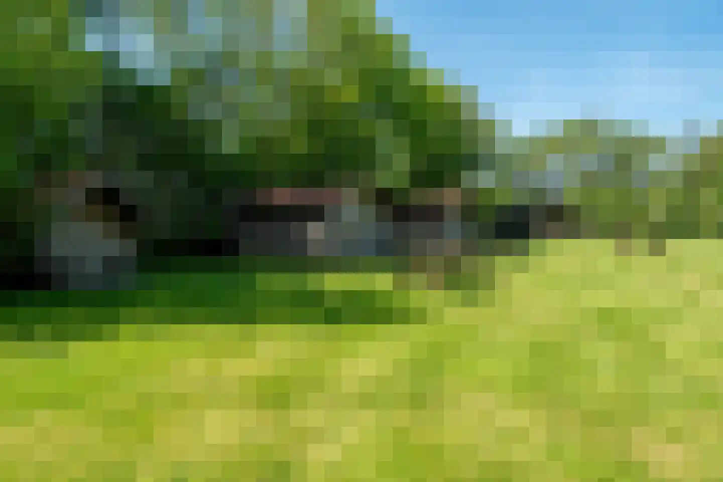 Onderdendamsterweg 2 Warffum thumbnail 75