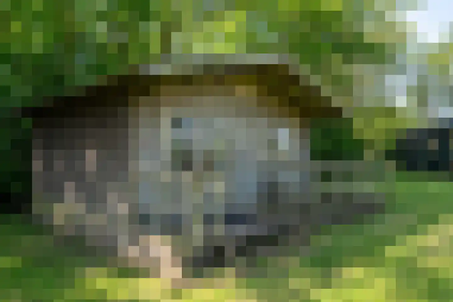 Onderdendamsterweg 2 Warffum thumbnail 76