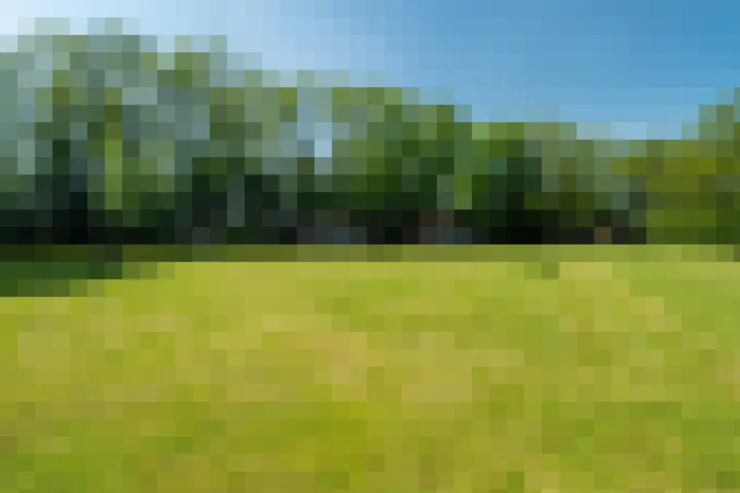 Onderdendamsterweg 2 Warffum thumbnail 9