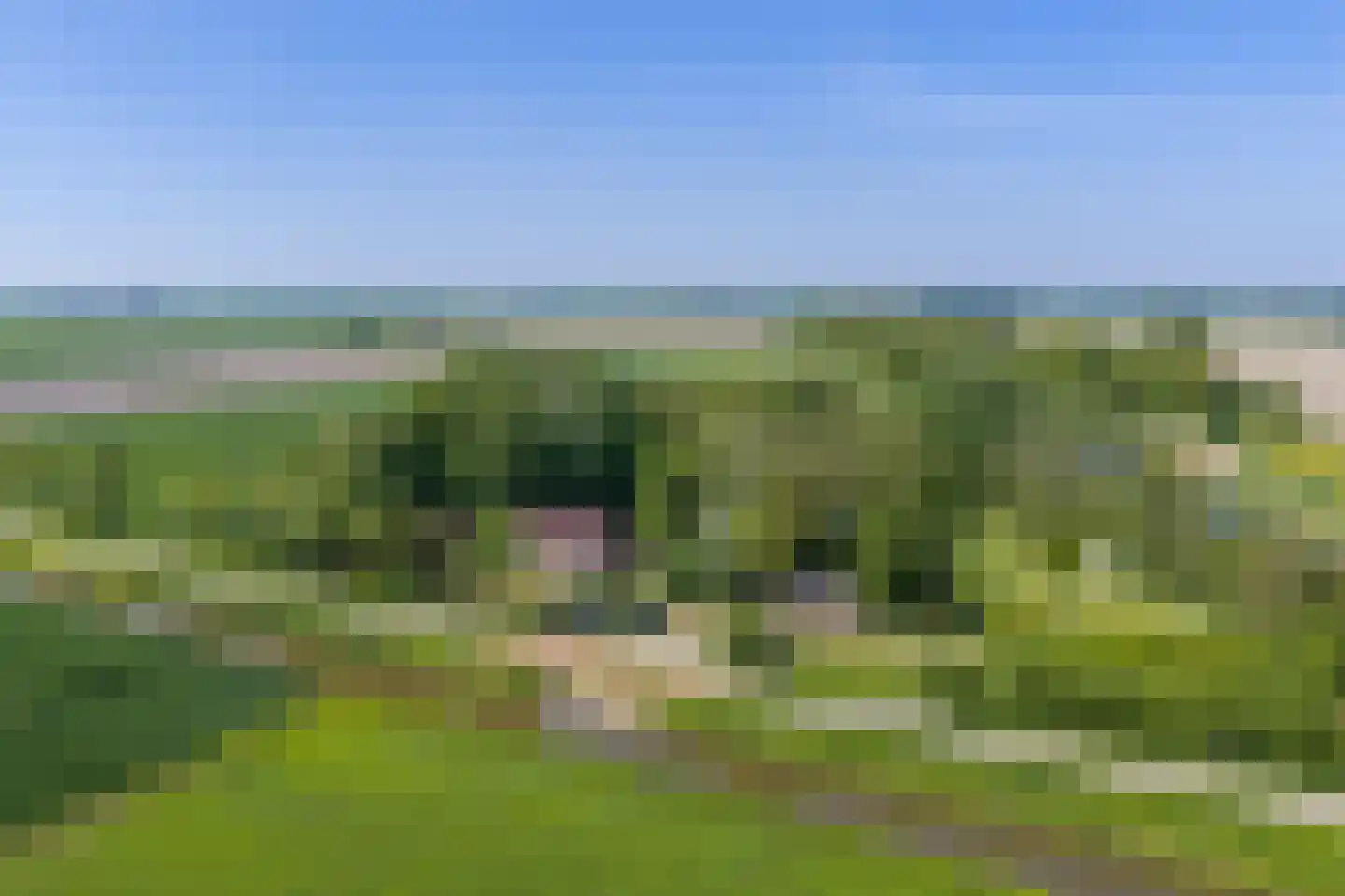 Onderdendamsterweg 2 Warffum thumbnail 93