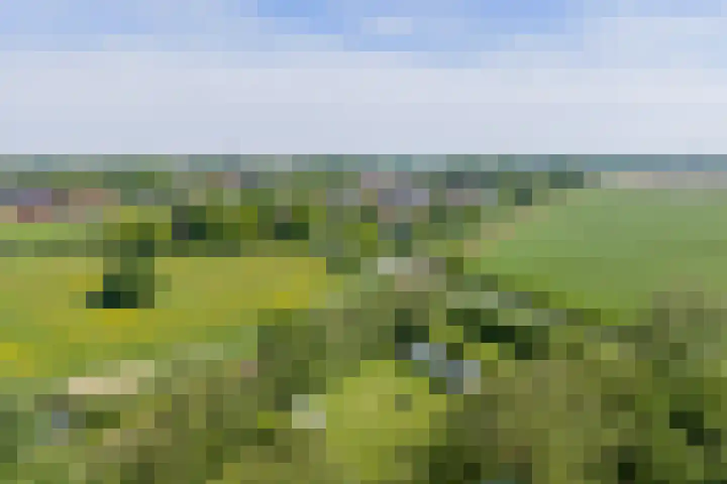 Onderdendamsterweg 2 Warffum thumbnail 97