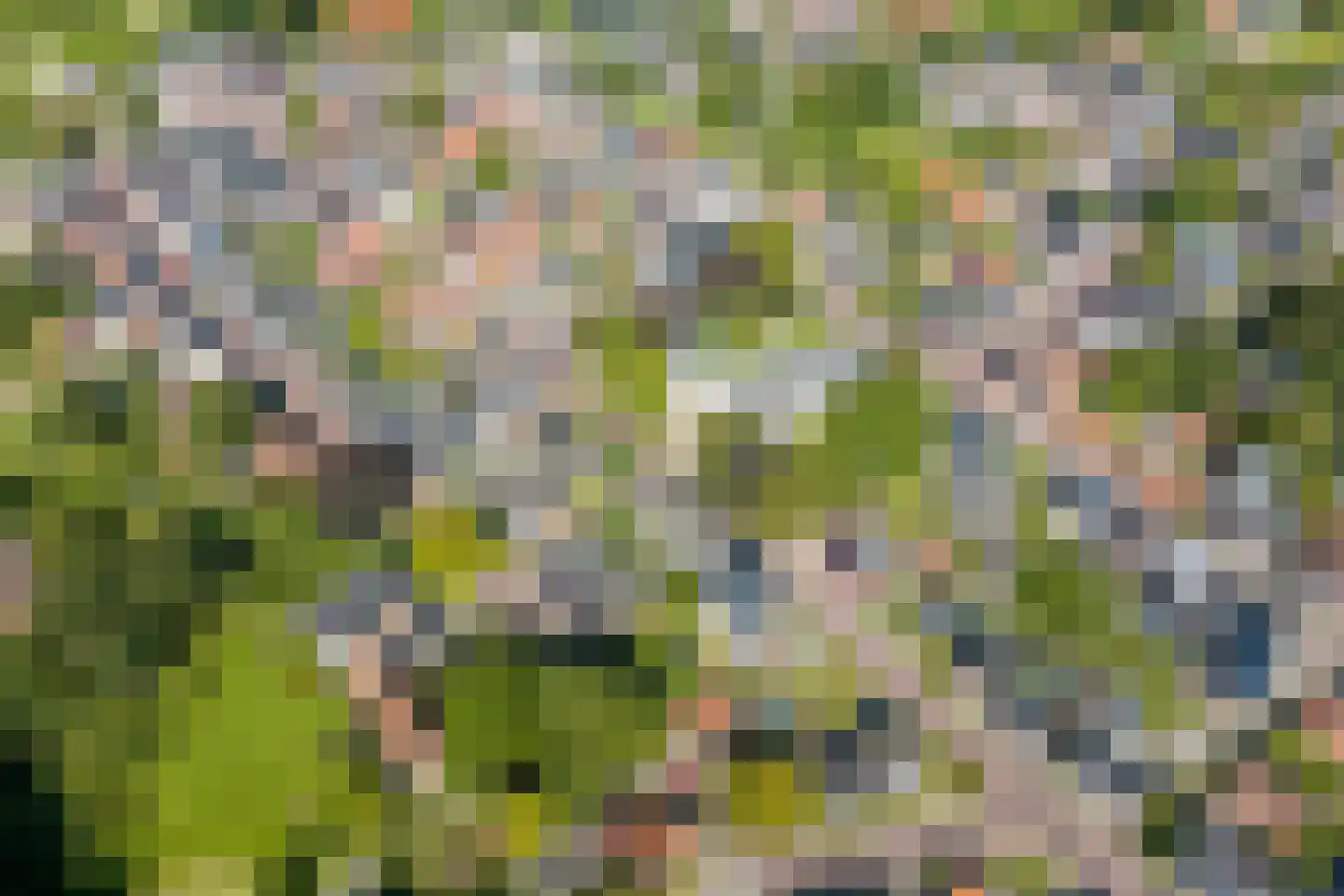 Onderdendamsterweg 2 Warffum thumbnail 98