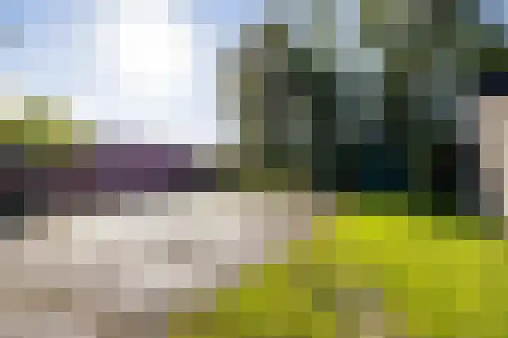 Onderdendamsterweg 40 Winsum thumbnail 6