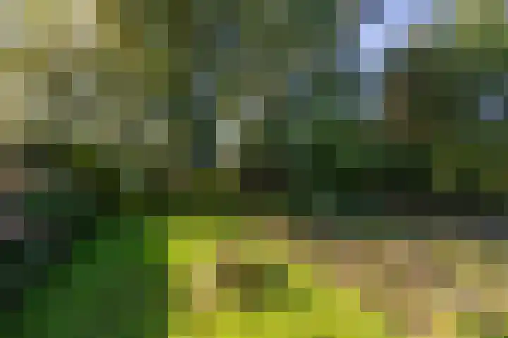 Onderdendamsterweg 40 Winsum thumbnail 8