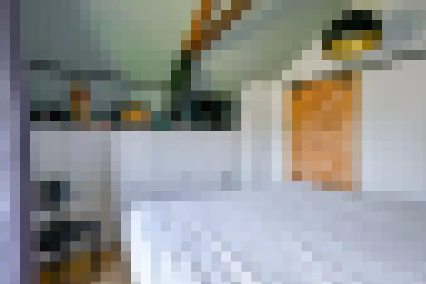 Onderdijk 101 Wervershoof thumbnail 20