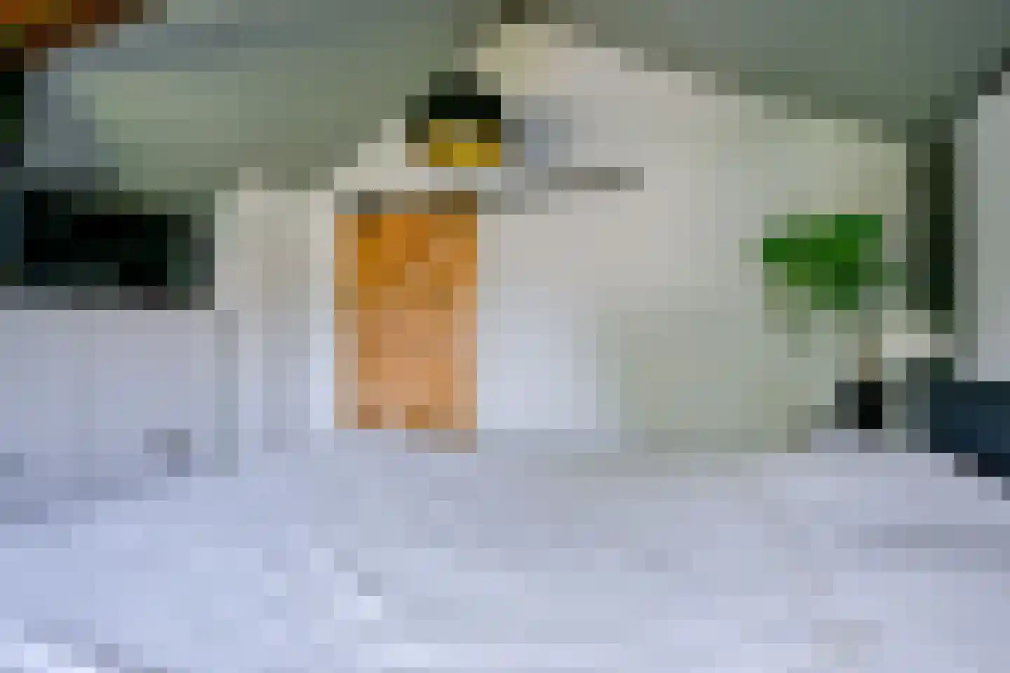 Onderdijk 101 Wervershoof thumbnail 21