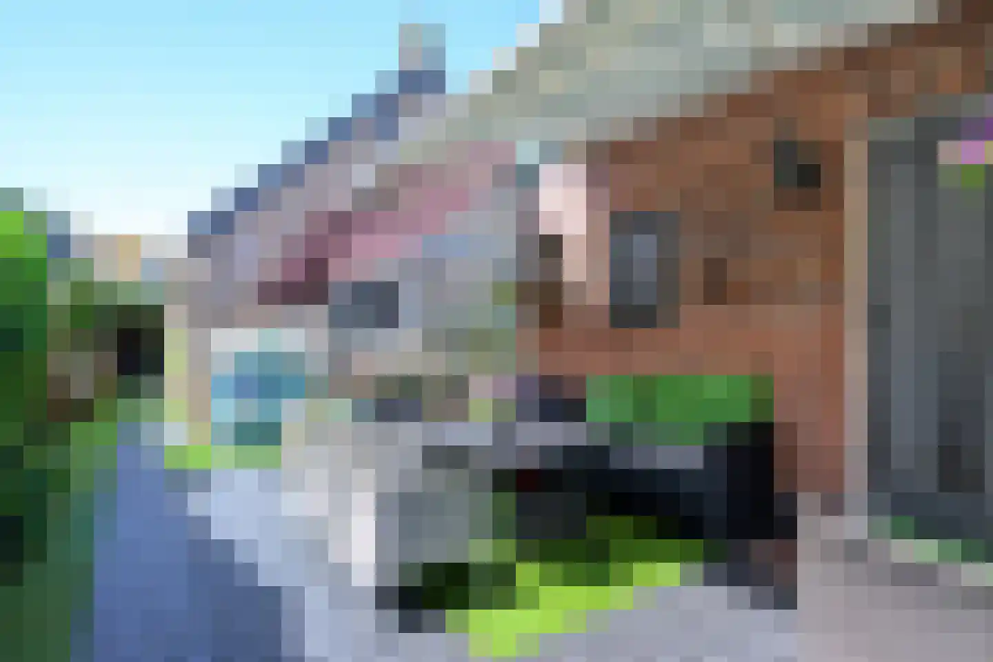Onderdijk 101 Wervershoof thumbnail 29