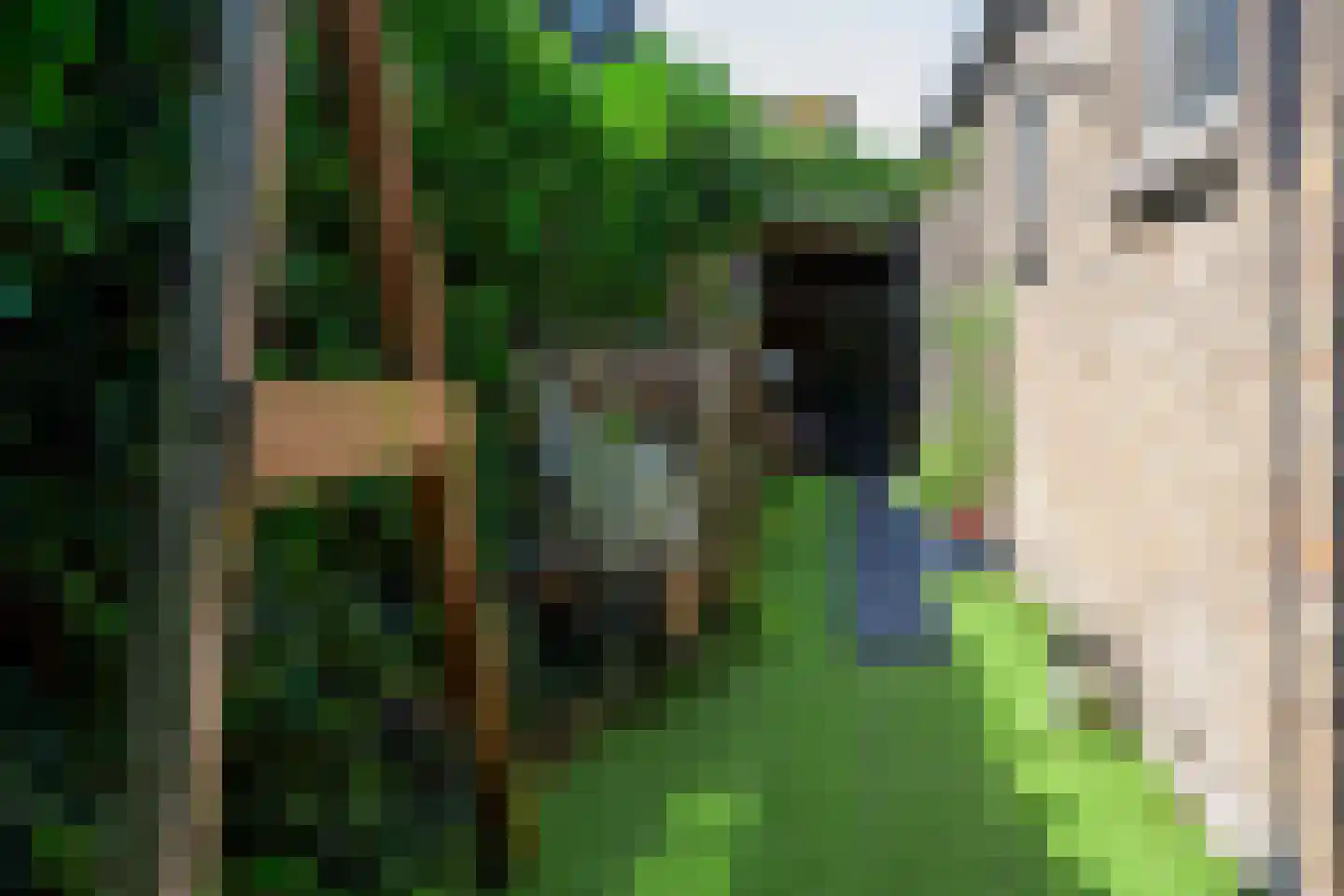 Onderdijk 101 Wervershoof thumbnail 30