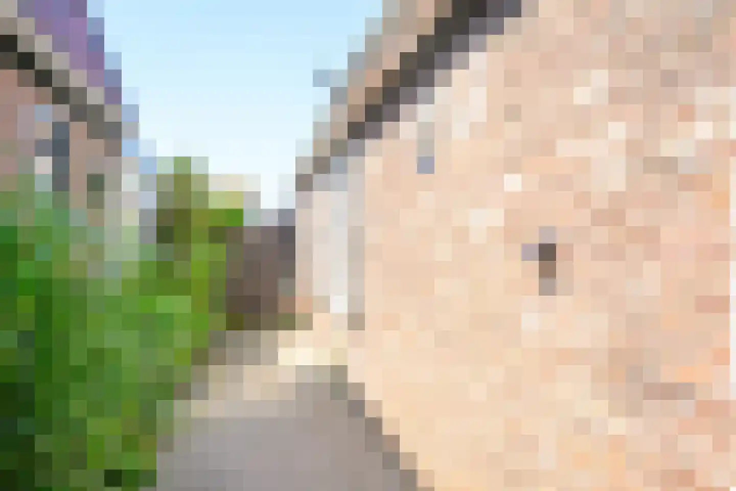 Onderdijk 101 Wervershoof thumbnail 35