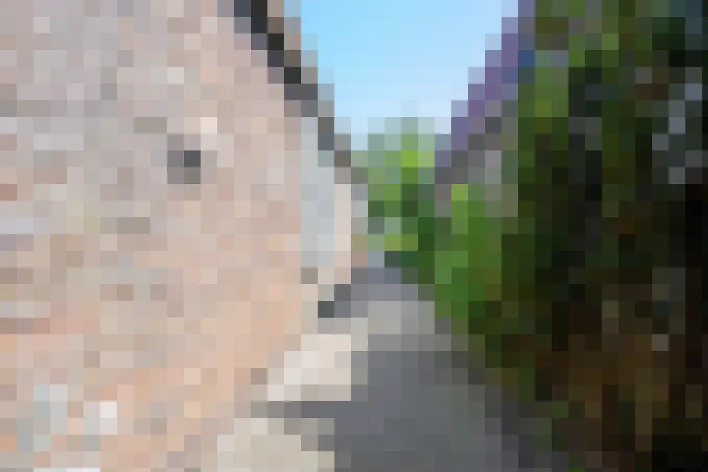 Onderdijk 101 Wervershoof thumbnail 36