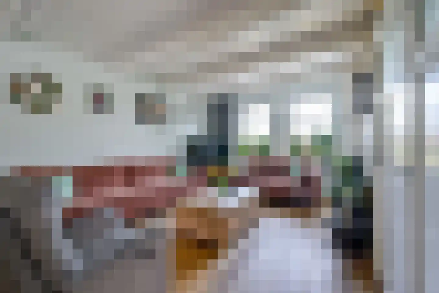 Onderdijk 101 Wervershoof thumbnail 7