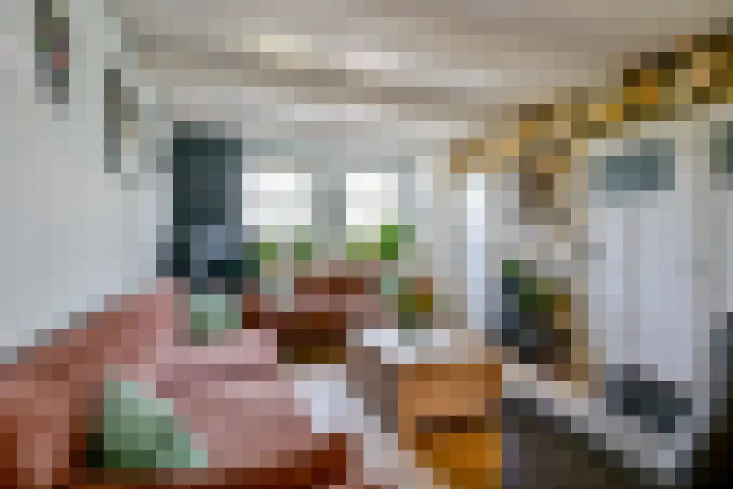 Onderdijk 101 Wervershoof thumbnail 8