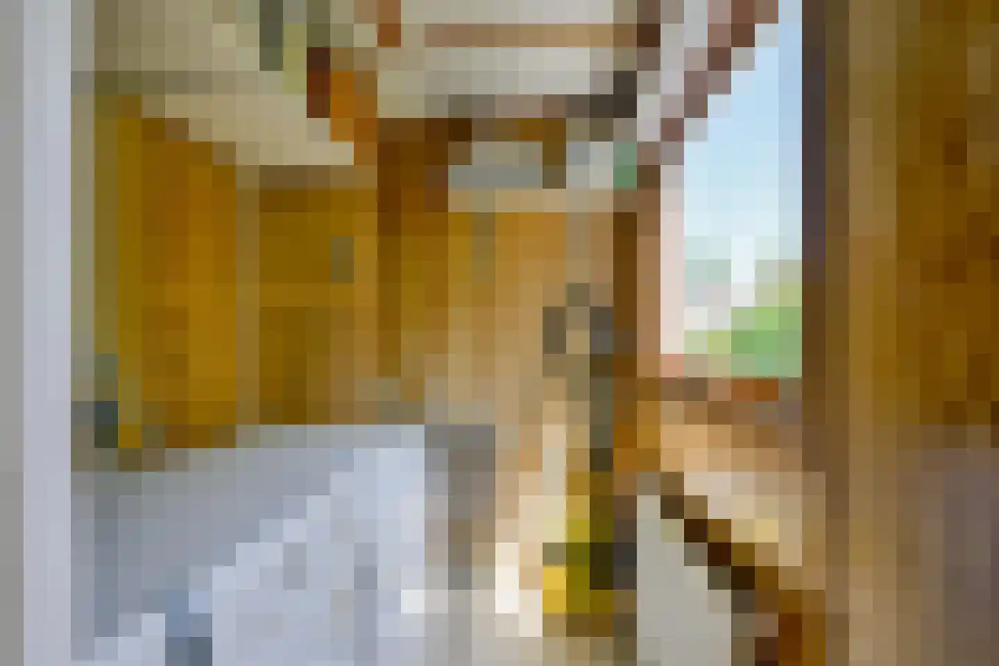 Onderdijk 245 155 Wervershoof thumbnail 18