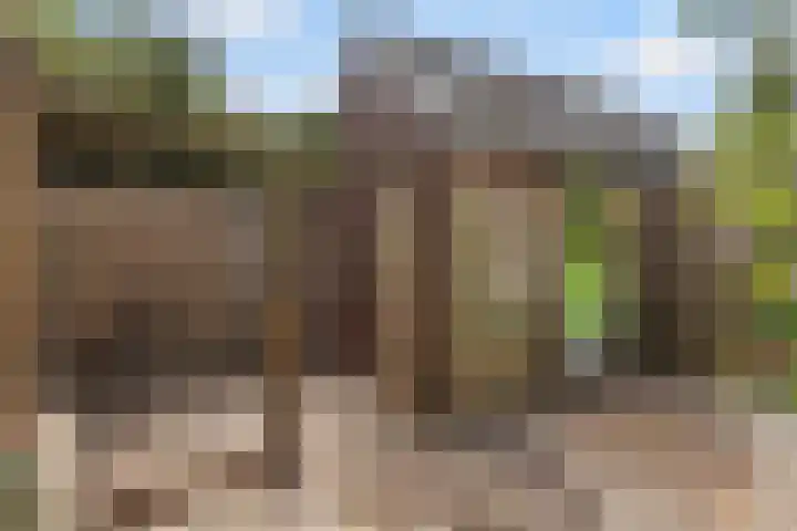 Onderdijk 30 Hendrik-Ido-Ambacht thumbnail 19