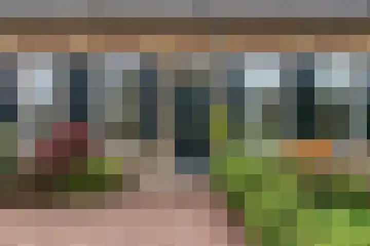 Onderdijk 30 Hendrik-Ido-Ambacht thumbnail 4