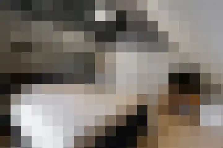 Onderdijk 35 Wervershoof thumbnail 25