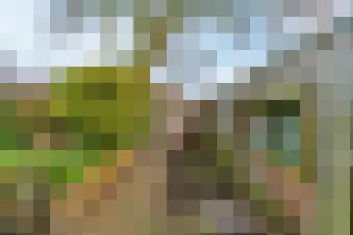 Onderdijk 35 Wervershoof thumbnail 30
